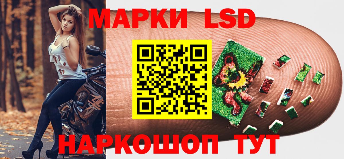 Наркотические марки 1,8мг  Наркотические марки 1,8мг  Дмитров  Вход с VPN 