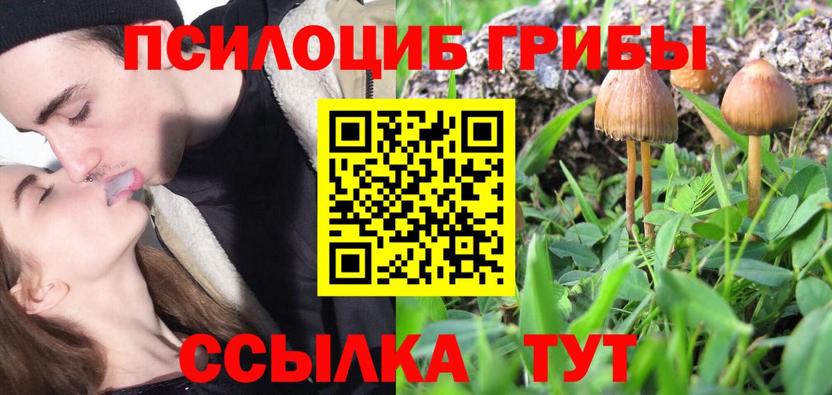 дарнет шоп  Вход с VPN  Дмитров  Галлюциногенные грибы мицелий 