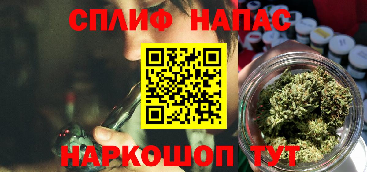 Бошки Шишки MAZAR Дмитров